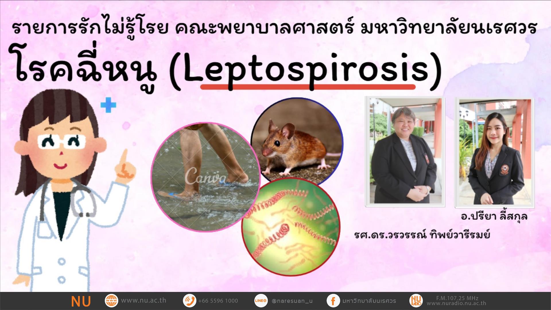 โรคฉี่หนู