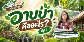 อาบป่า คืออะไร?  Ep.1