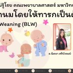 การหย่านมโดยให้ทารกเป็นผู้นำ Baby Led Weaning (BLW)
