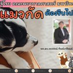 หมาแมวกัด ต้องรีบไปรับวัคซีน
